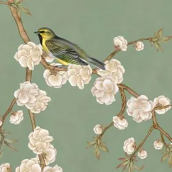 SAKURA NG | Carta da parati fiori e uccellini
